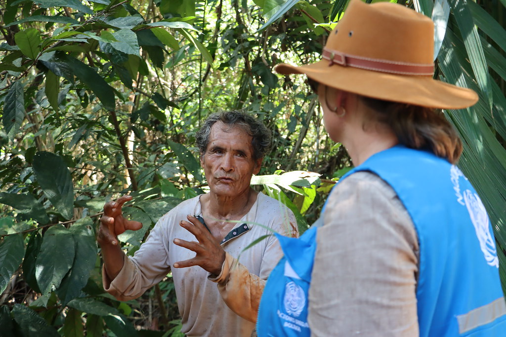 A man in the Bolivian Amazon shows a tree to a UN official.