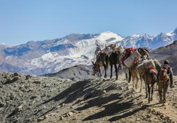 A group of people walk around the mountain.