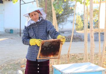 woman in blue top and beekeeping hat holds up a tray of bees 