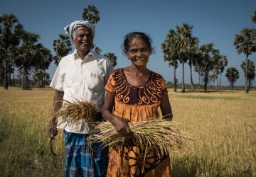 A man and woman stand in a field against a bright blue sky and hold crops that look like wheat. 