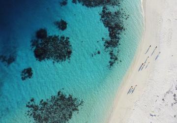 A picture of serene waters and the beach