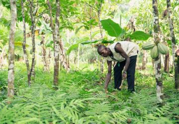 A man in a white shirt crouches in a green forest