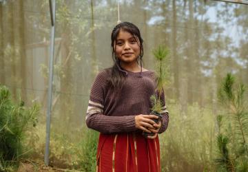 A young girl in a brown shirt and red skirt holds up a plant