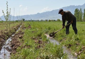 A man is outdoors using a shovel to till the fields 