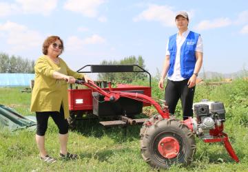 A Mongolian woman pushes a land mower in front of a man.