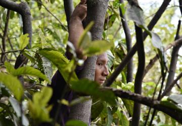 An Indigenous woman in Brazil amidst trees in the Amazon.