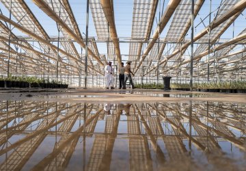 A greenhouse in Saudi Arabia.