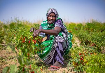 A farmer in Cameroon.