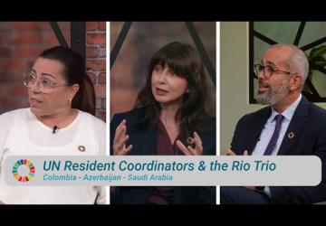 Rio Trio Drives Action on Biodiversity, Climate, and Land