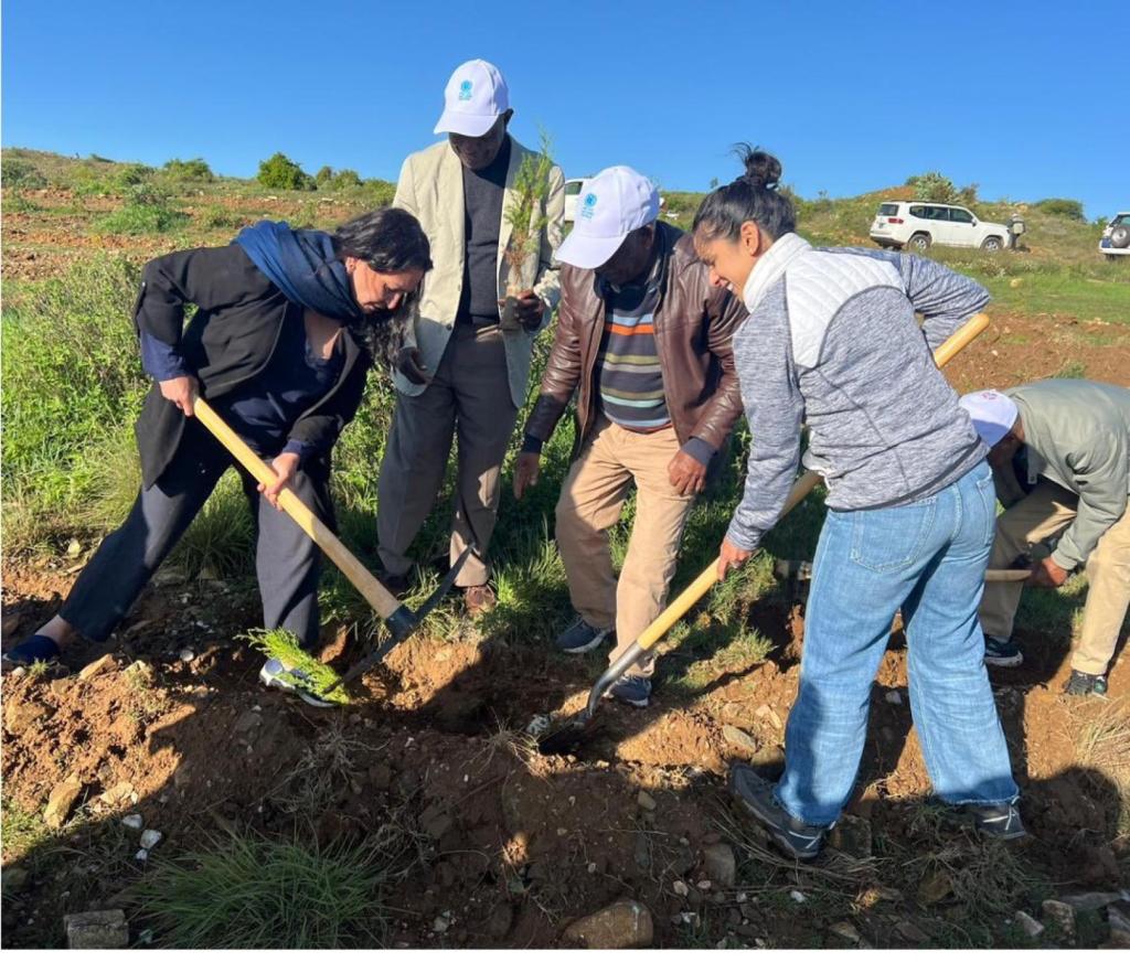 A group of people are outdoors and digging soil 