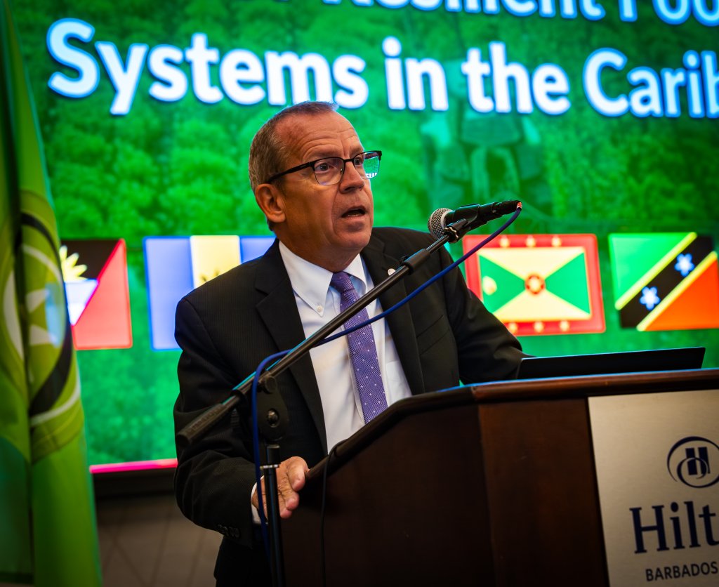 The UN Resident Coordinator in Barbados and the Eastern Caribbean delivers a speech.