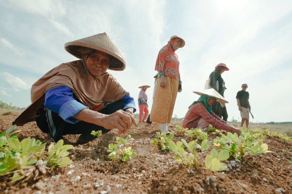Women farmers in Indonesia.