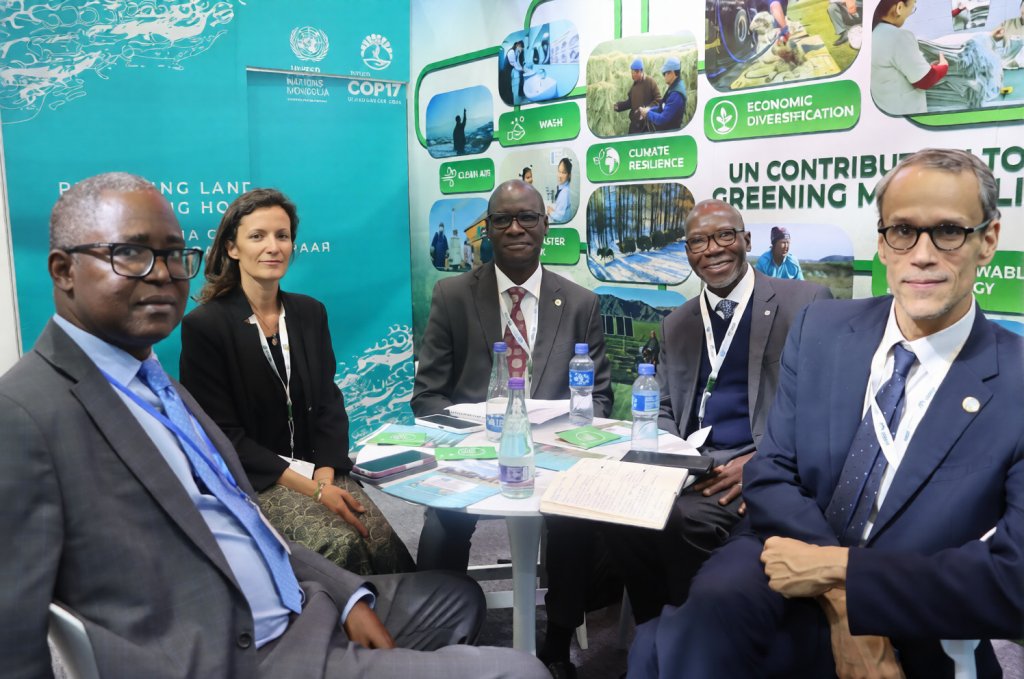 The Resident Coordinator in Cameroon with colleagues and other officials at a conference in Mongolia.