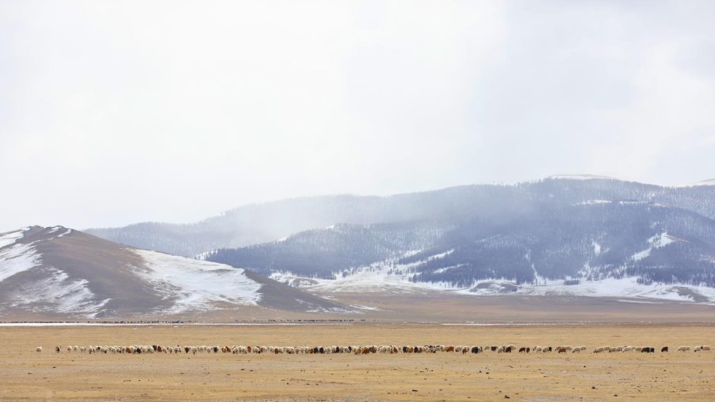 Beautiful mountainous landscape in Mongolia.