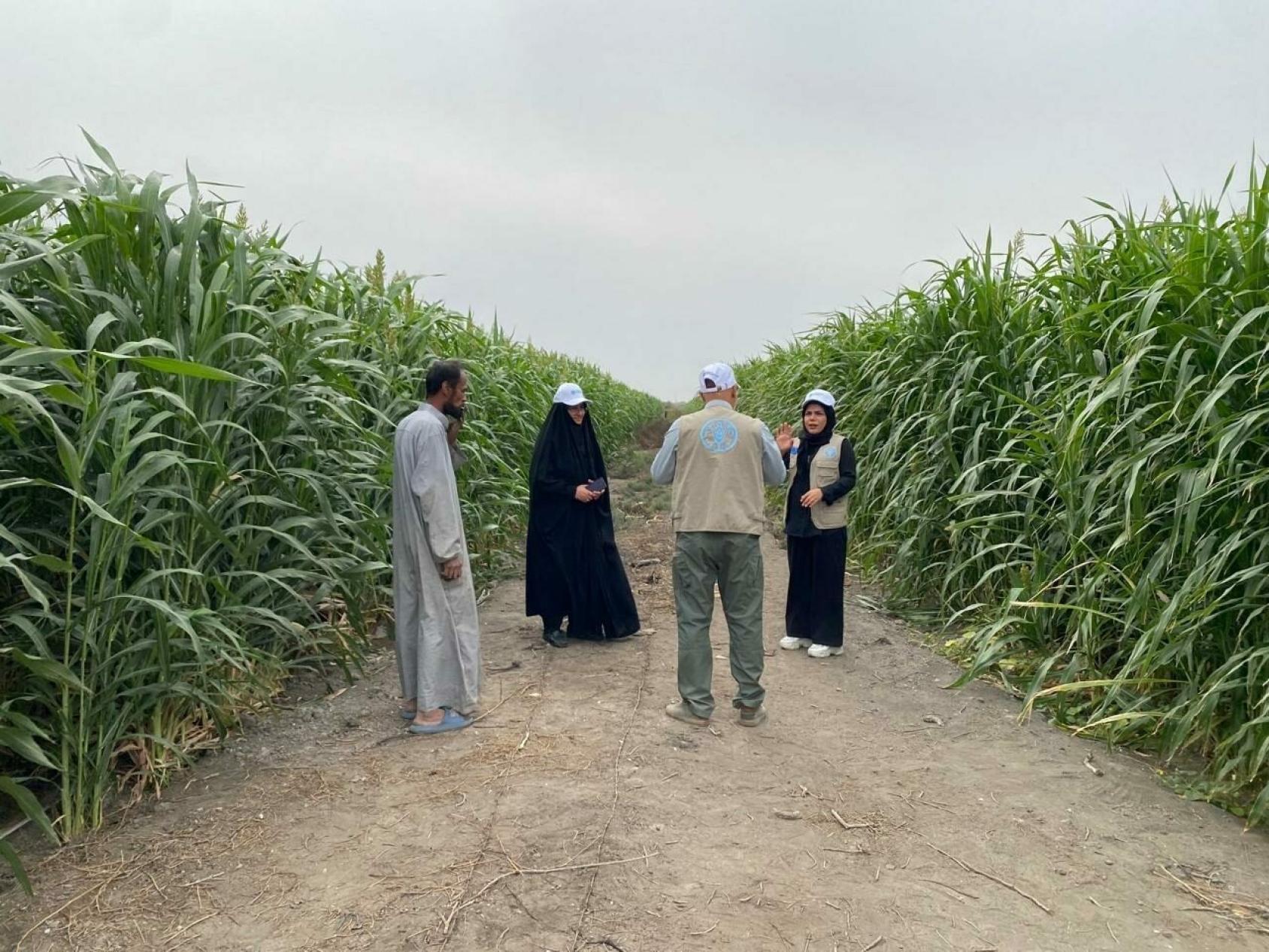 A group of people in a field both men and women and the women are wearing traditional dress