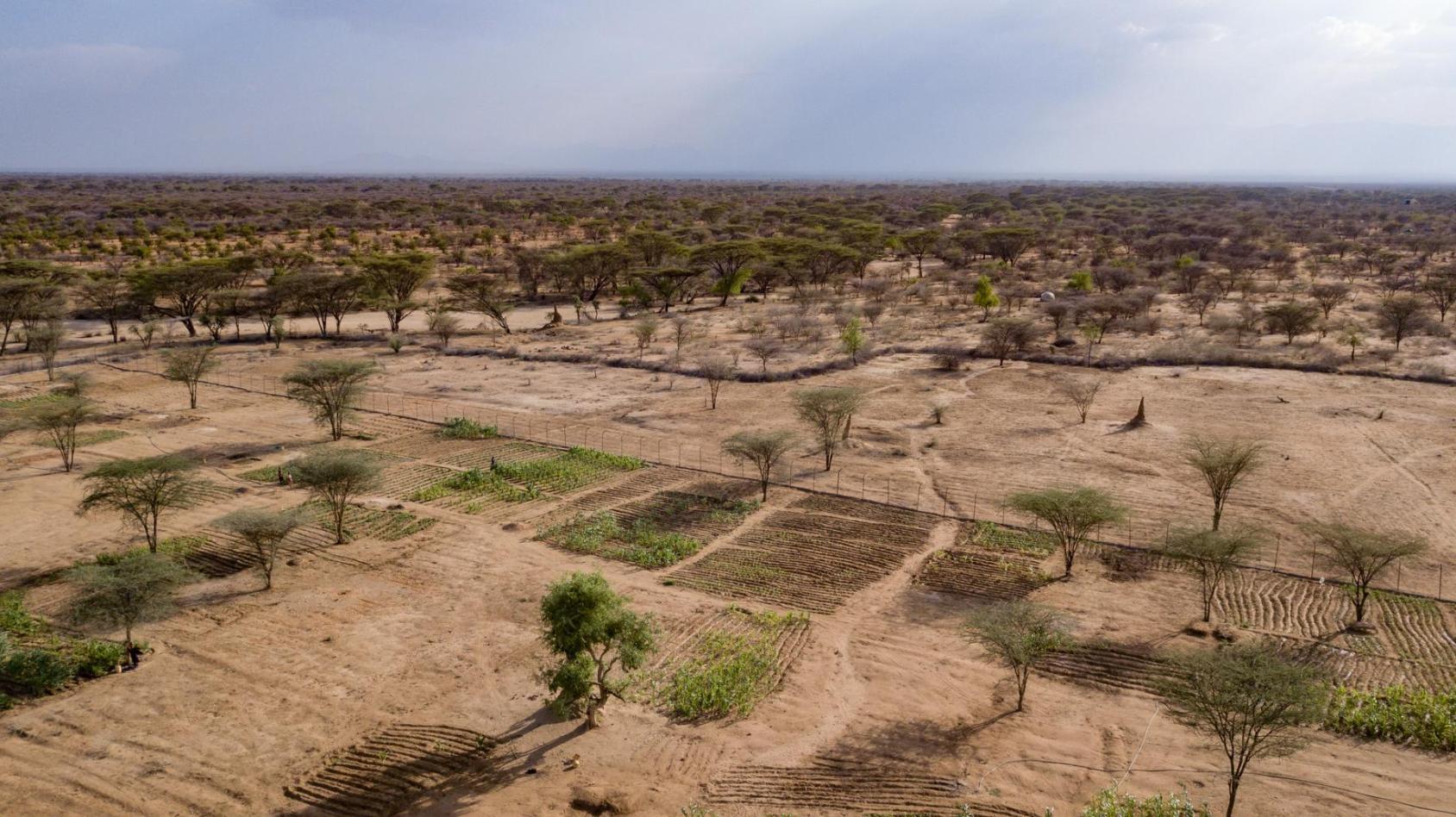 Arid land showing the impact of climate change and dessertification