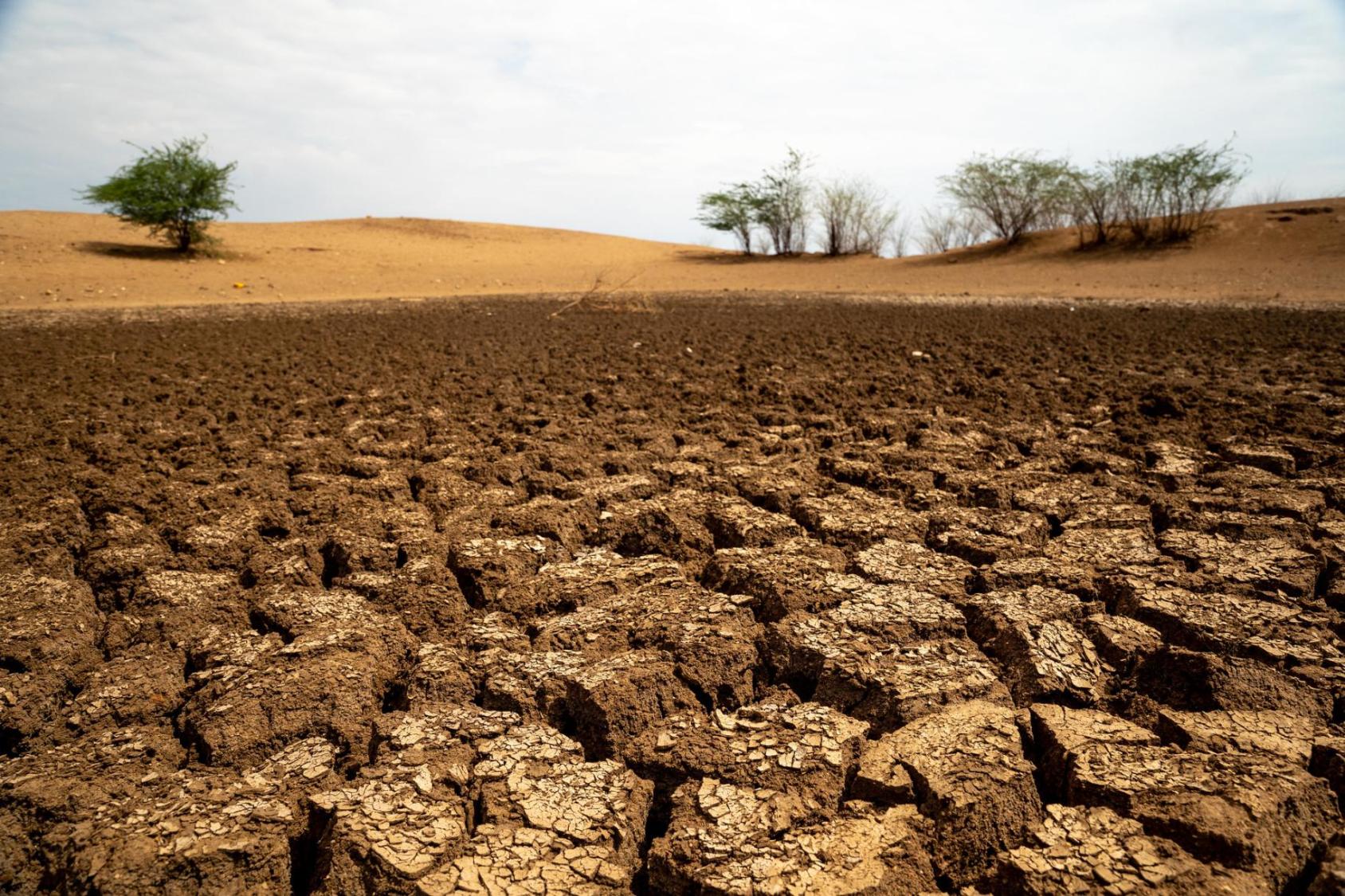 An arid area of land with the soil cracked, showing the dangers of climate change