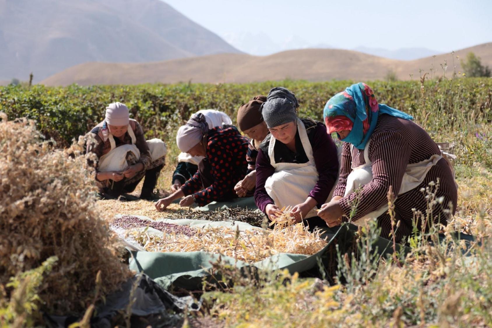 A group of women in a field