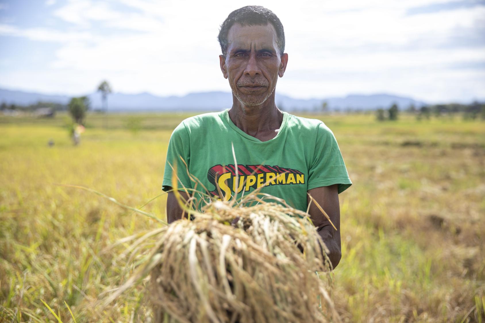 A person holding up some hay in an outdoor setting 