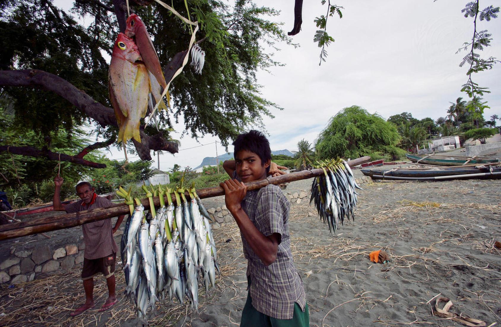 A little boy carrying fish on his back