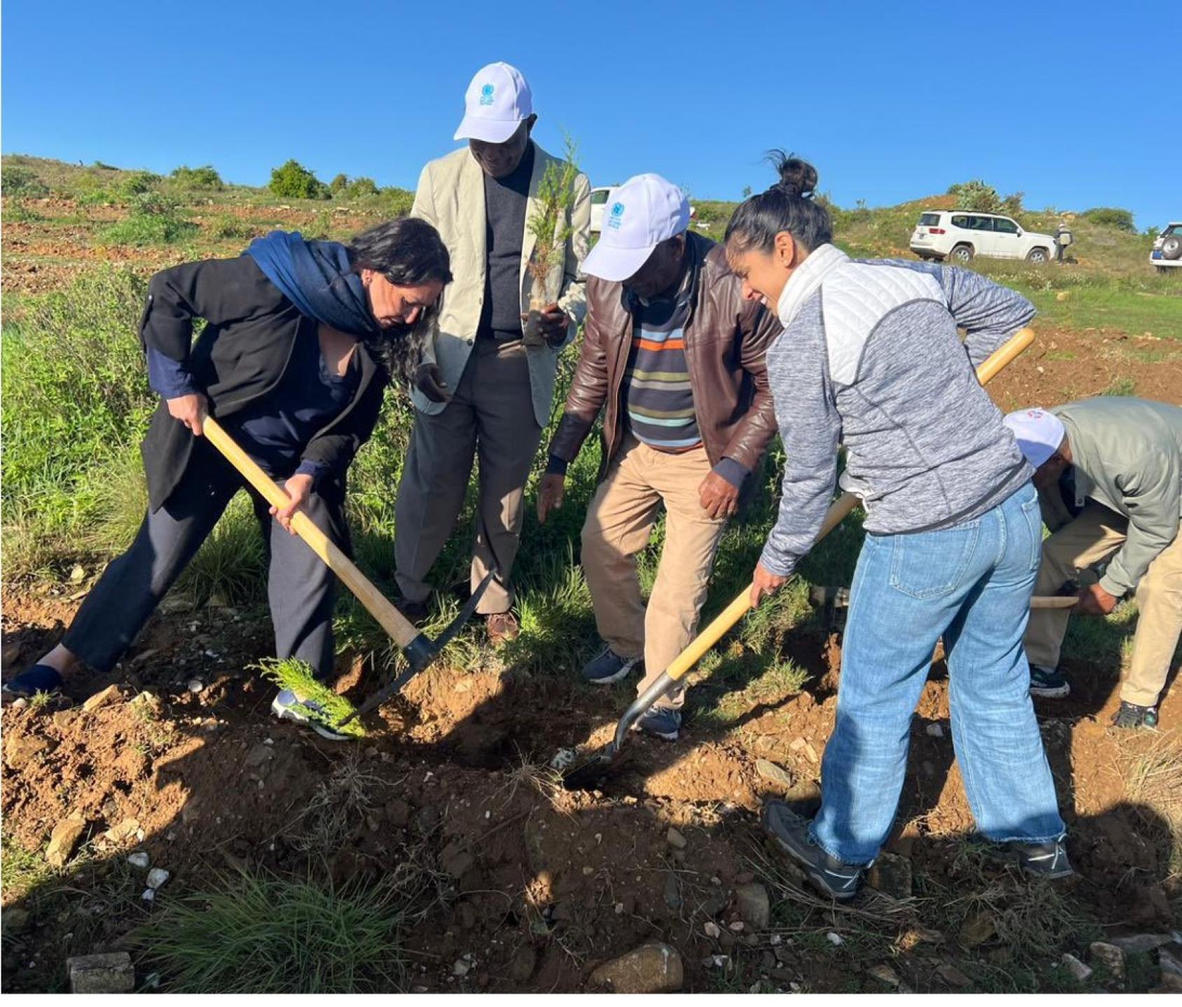 A group of people are outdoors and digging soil