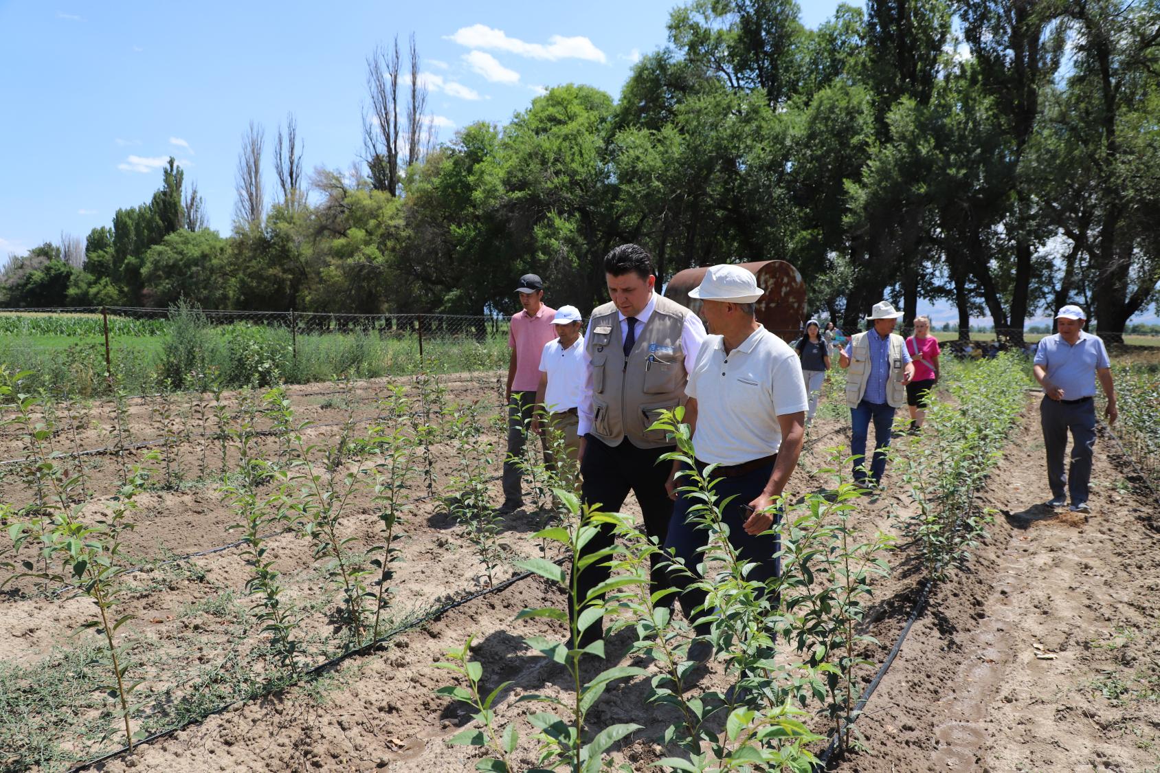 A group of people walking in a field talking to each other 