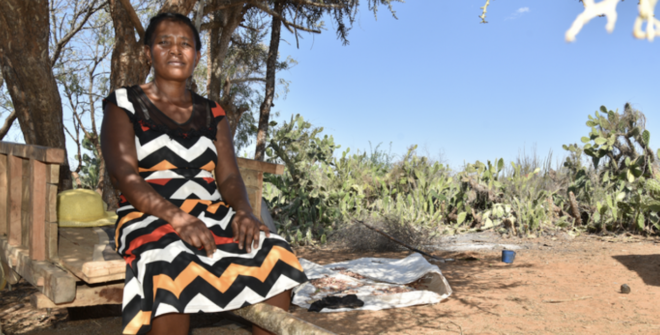 A woman sits near trees on a sunny day.
