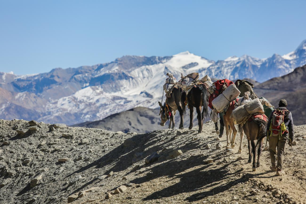 A group of people walk around the mountain.