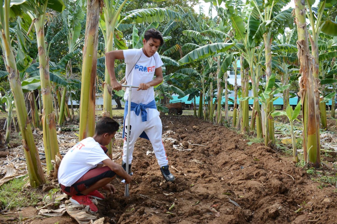 Two young men dig into the ground outside 