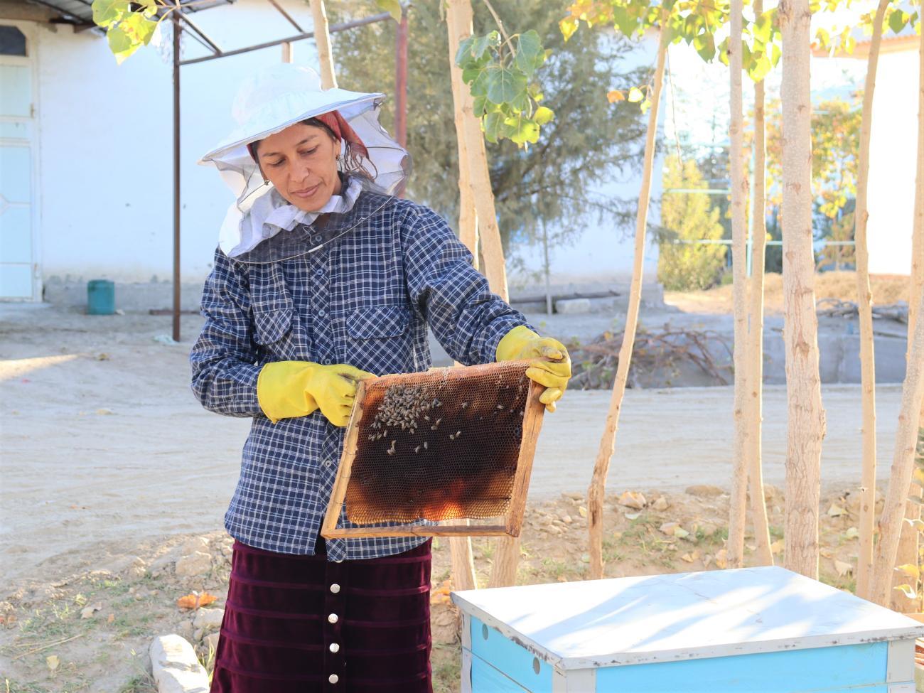 woman in blue top and beekeeping hat holds up a tray of bees