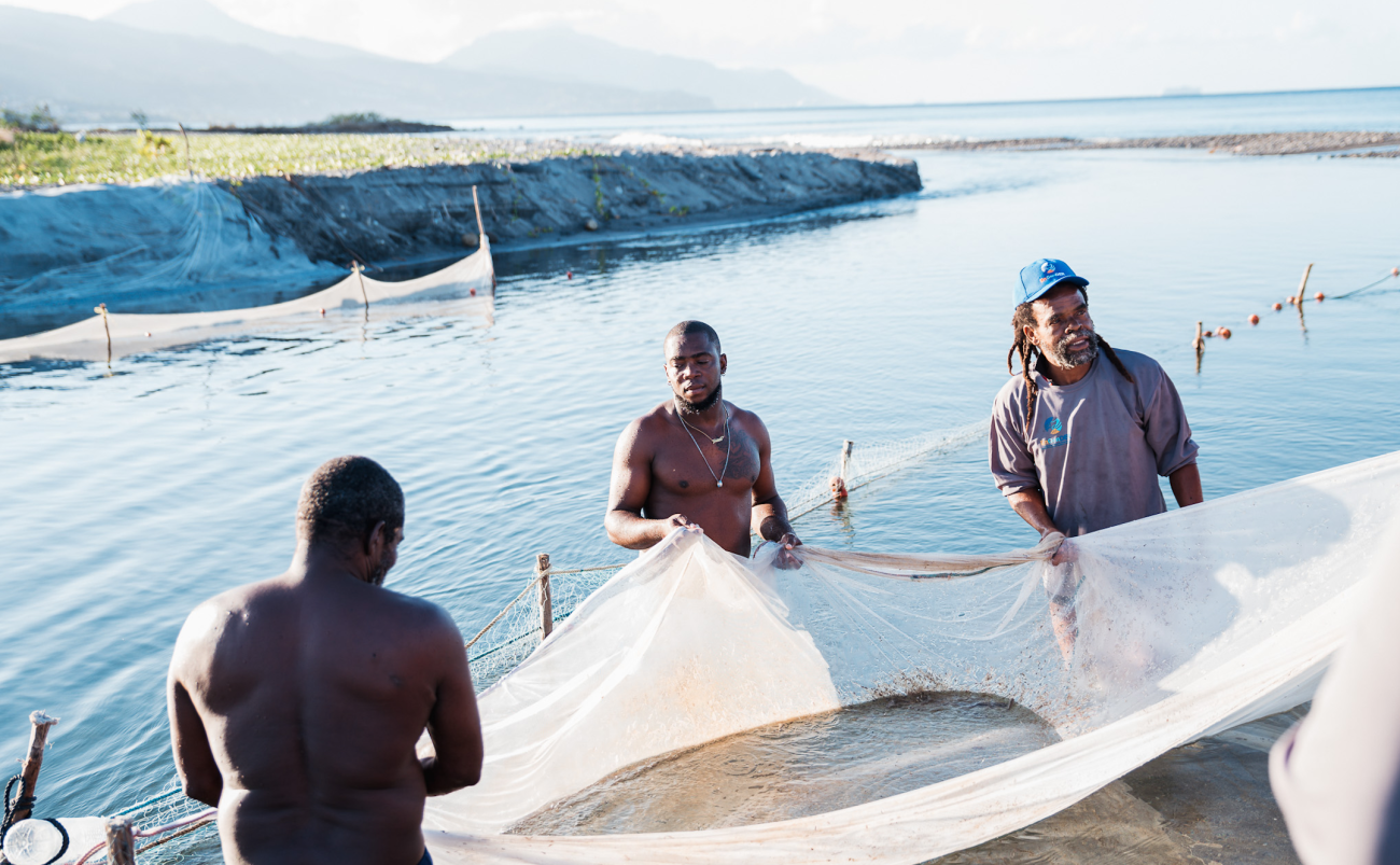 three men untangle a fishing net against blue sea