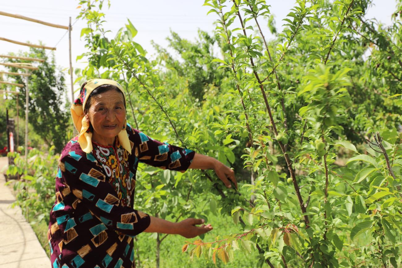 woman in floral dress and headscarf tends to green plant 