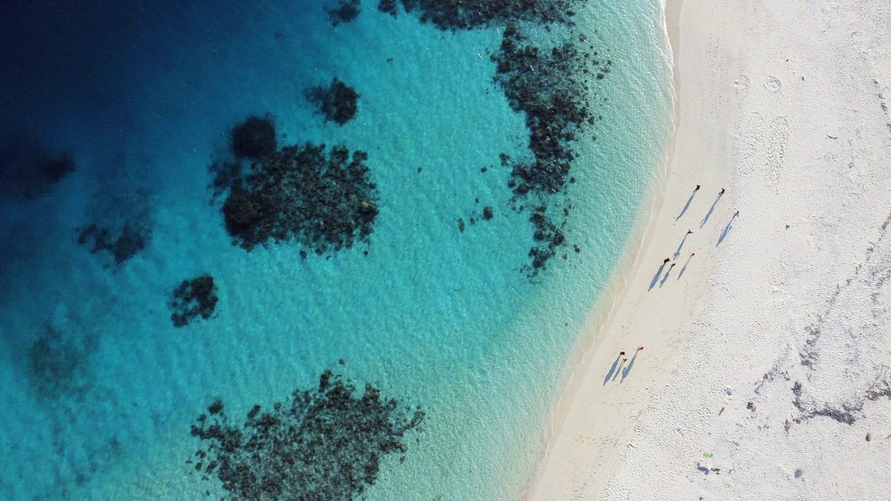 A picture of serene waters and the beach