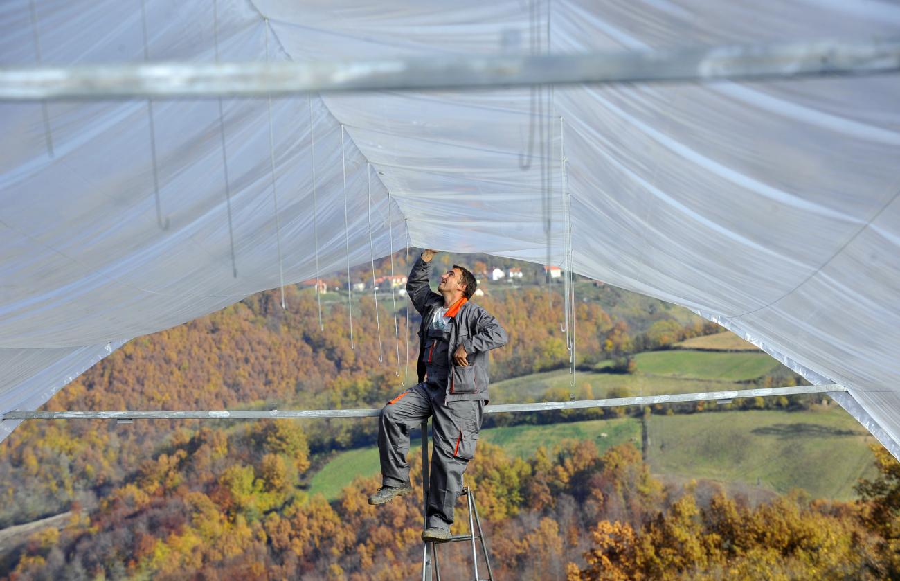 A man is working on a tarp that is hung overhead, in a field 