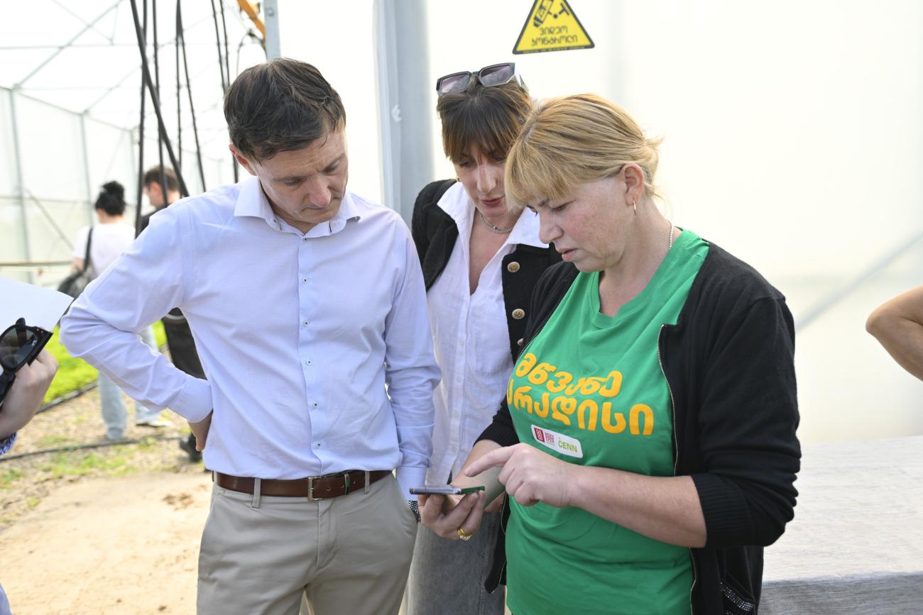 Naira Paksadze, a member of the women-led Green Maradisi cooperative, demonstrates the GECSA app to UN Resident Coordinator Didier Trebucq.