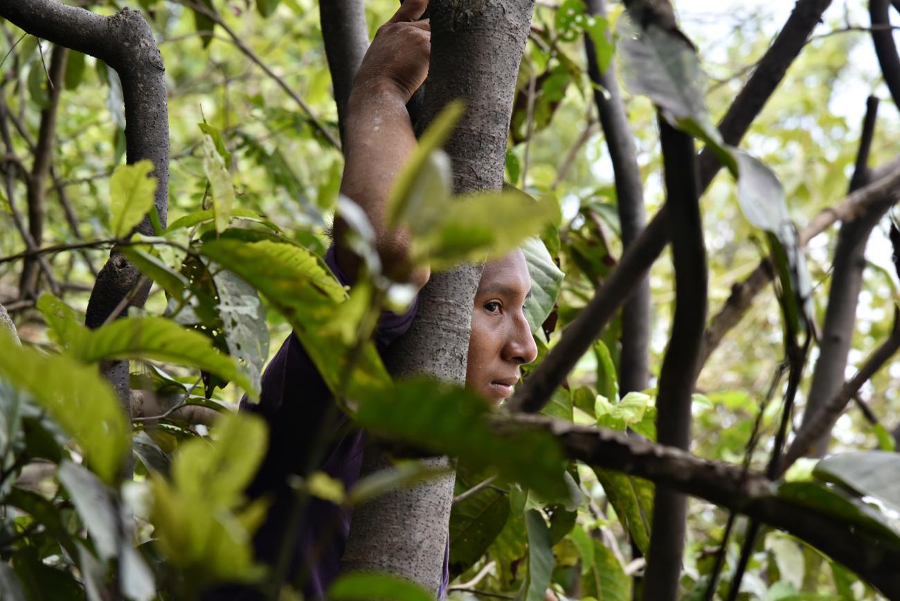 An Indigenous woman in Brazil amidst trees in the Amazon.