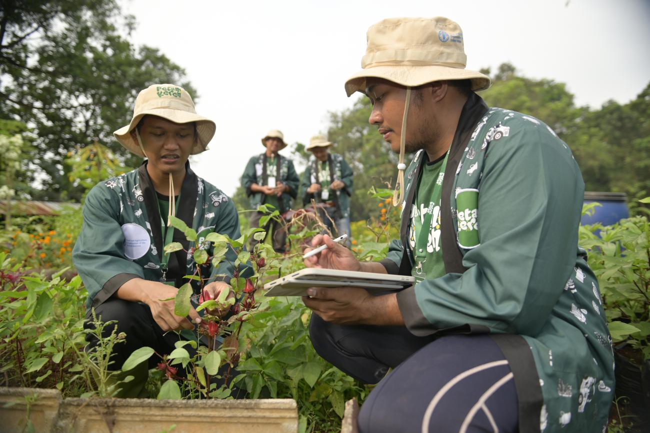 Four workers in Indonesia (two foreground, two background) analyse plants.