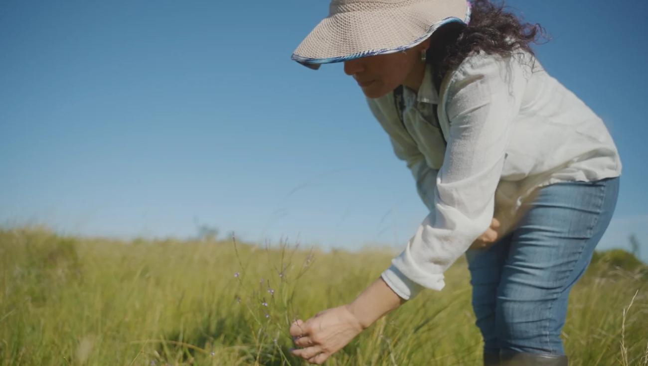 A woman in a field in Uruguay.