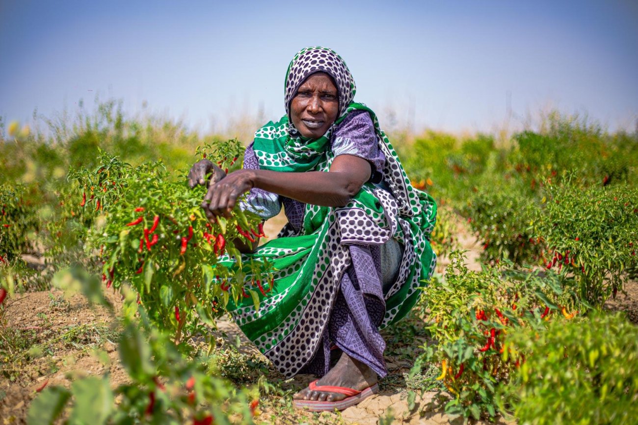 A farmer in Cameroon.