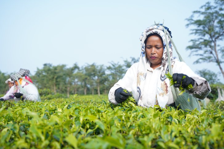 Women working in the field.