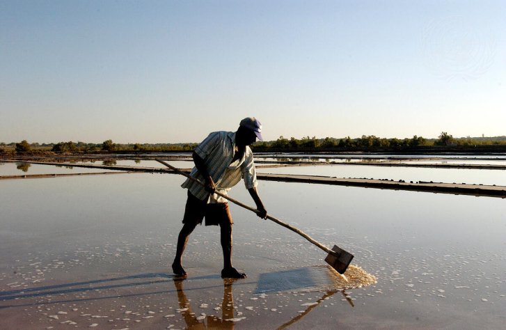 A man in Mozambique collects salt.