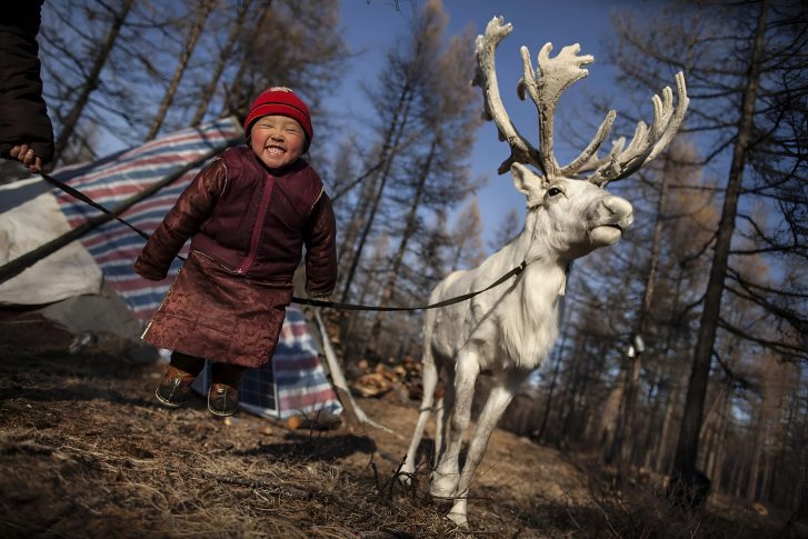 A girl in Mongolia happily smiles next to a reindeer.