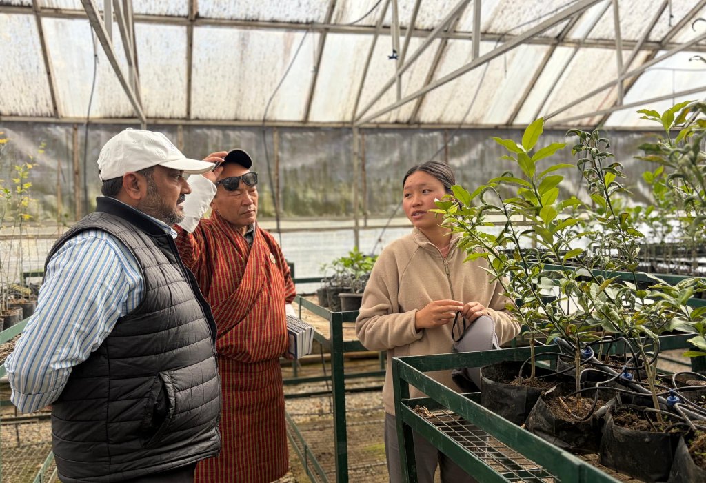 Three people standing inside a greenhouse, gathered around a raised metal rack holding several potted plants.