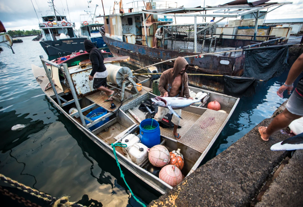 Fishers on a boat.